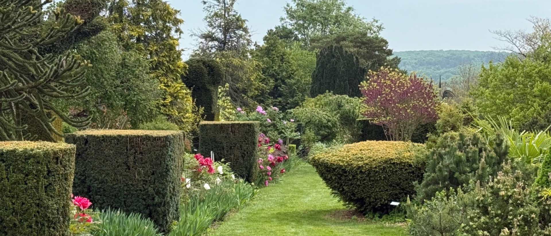 Prieuré d'Orchaise_Bannière 2