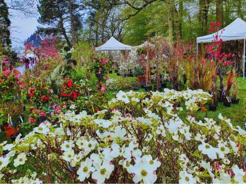 Fête des Plantes au Château Saint-Jean de Beauregard