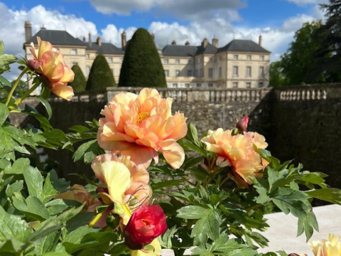 Château de Sourches