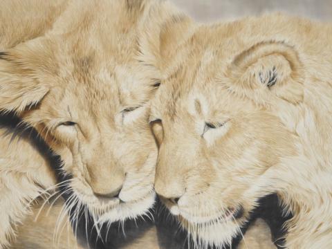 Animal Art Bruxelles