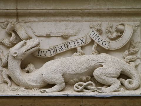 La salamandre, emblème du roi François Ier avec sa devise  « Nutrisco et extinguo » (« Je nourris et j'éteins »), Château d'Azay-le-Rideau © Wikimedia Commons