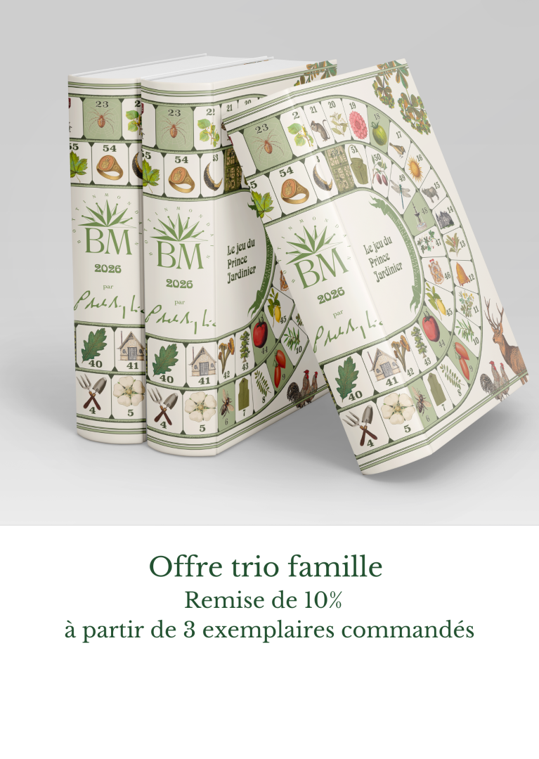 Offre trio famille