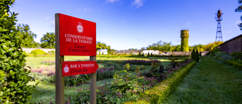© Château de La Bourdaisière