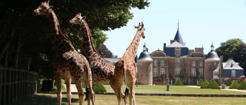 Château et Jardins de La Bourbansais