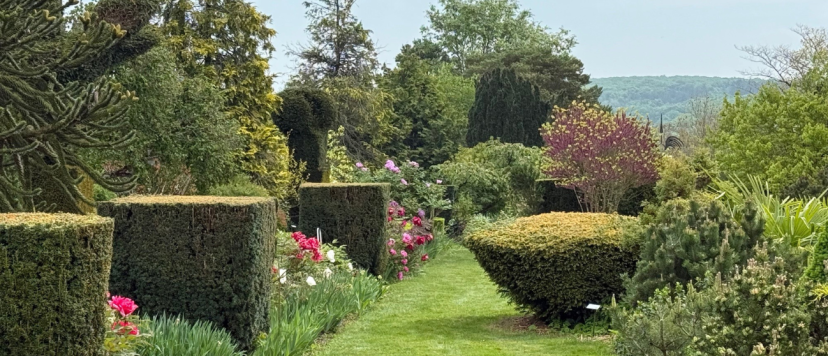 Prieuré d'Orchaise_Bannière 2