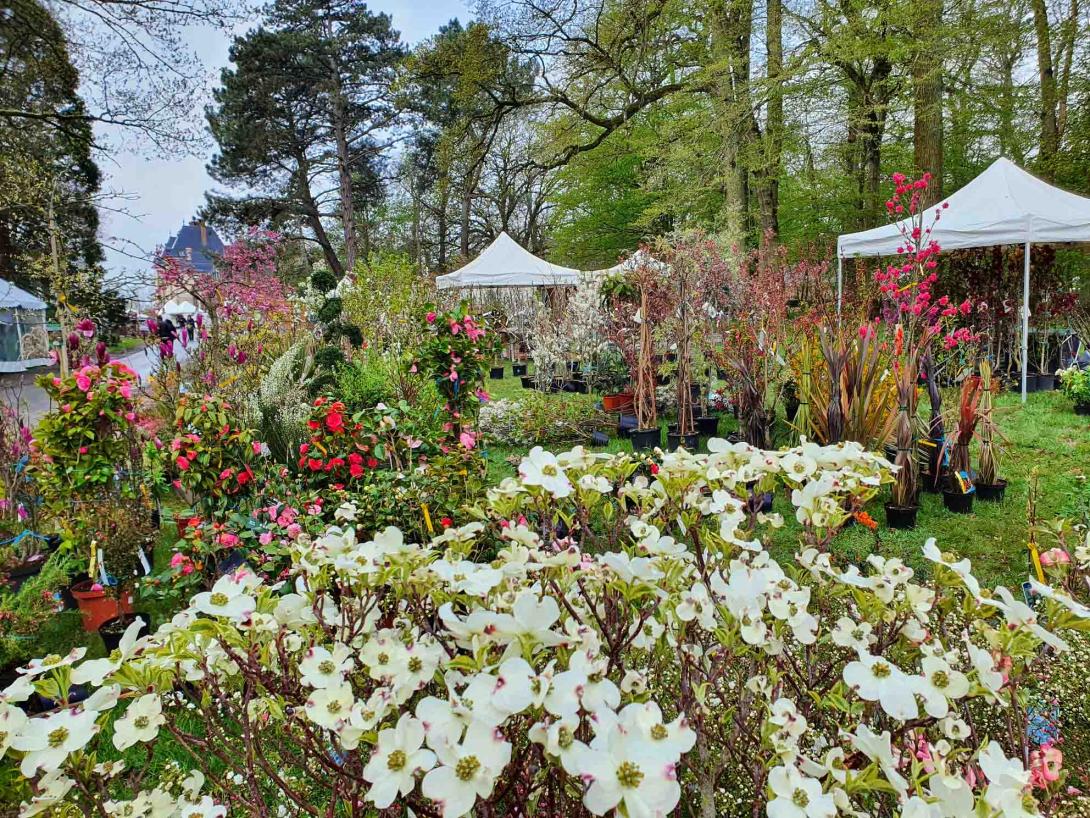 La Fête des Plantes au Château Saint-Jean de Beauregard