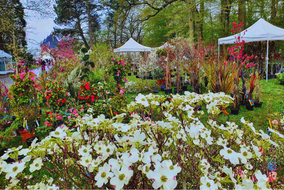 Fête des Plantes au Château Saint-Jean de Beauregard