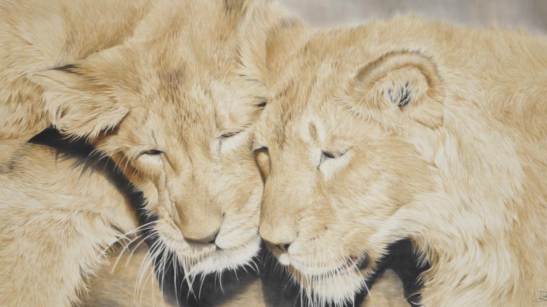 Animal Art Bruxelles